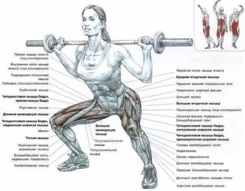 Самые эффективные упражнения для мышц ног. 03