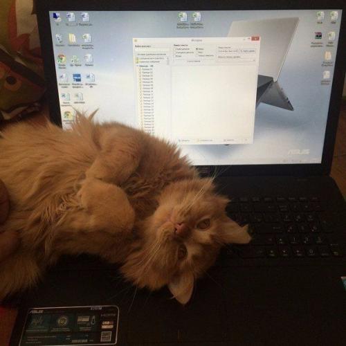 Спасённая жизнь. Мы с будущей супругой летним вечером ехали в магазин за стройматериалами. 06 Спасённая жизнь. Мы с будущей супругой летним вечером ехали в магазин за стройматериалами. 06