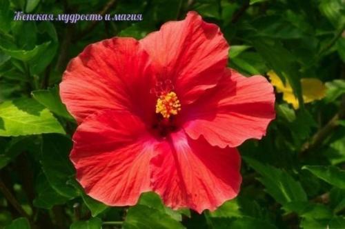 Все это хотят. 06 Все это хотят. 06