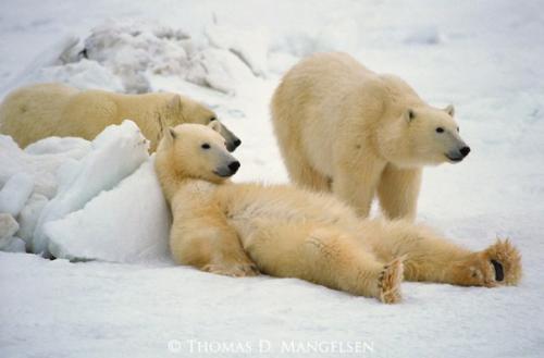 10 умных ответов на 10 глупых вопросов. 04 10 умных ответов на 10 глупых вопросов. 04