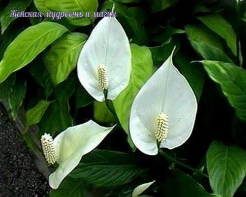 Все это хотят. 07 Все это хотят. 07