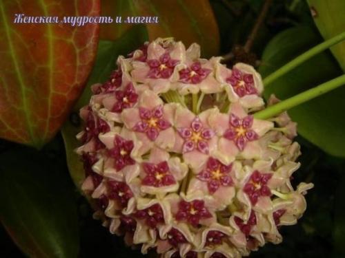 Все это хотят. 05 Все это хотят. 05