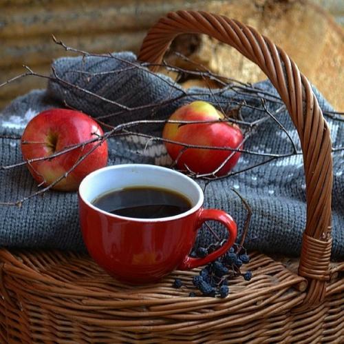 Доброе утро. Правильное слово Настроение. 04