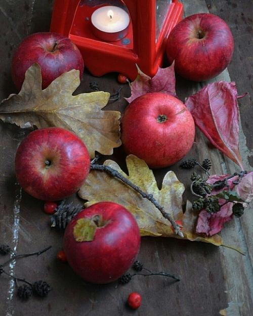 Доброе утро. Правильное слово Настроение. 02