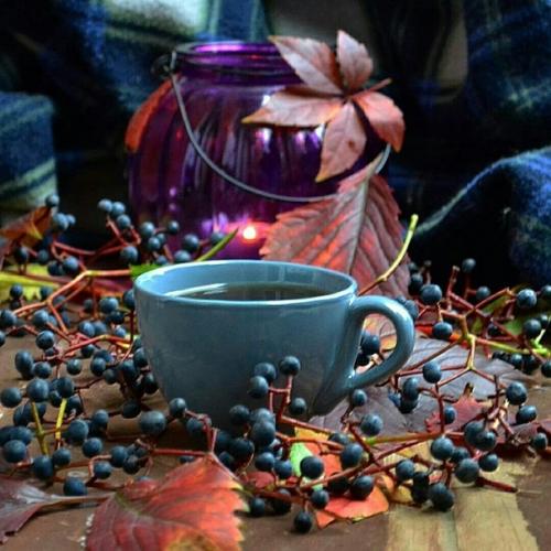 Доброе утро. Правильное слово Настроение. 01