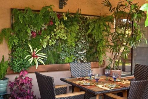 Секреты роскошного цветника в КВАРТИРЕ. 02 Секреты роскошного цветника в КВАРТИРЕ. 02