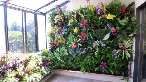 Секреты роскошного цветника в КВАРТИРЕ. 03 Секреты роскошного цветника в КВАРТИРЕ. 03