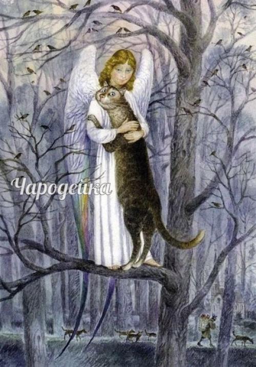 - Мир тебе, - ласково сказал ангел, присаживаясь рядом с котом на толстую ветку и стряхивая с неё снег. 02 - Мир тебе, - ласково сказал ангел, присаживаясь рядом с котом на толстую ветку и стряхивая с неё снег. 02