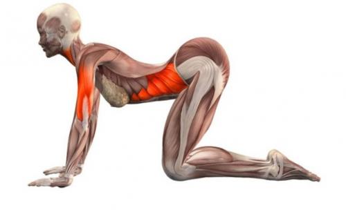 7 упражнений для женщин от кацудзо ниши. 01