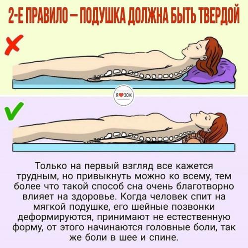 Шесть золотых правил японского профессора кацудзо ниши. 01