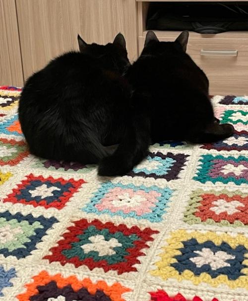 Рисовое питание. Добрый день! 01 Рисовое питание. Добрый день! 01