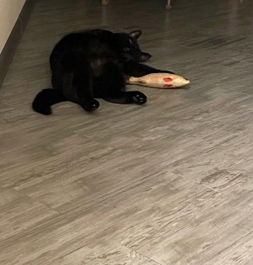 Рисовое питание. Добрый день! 02 Рисовое питание. Добрый день! 02