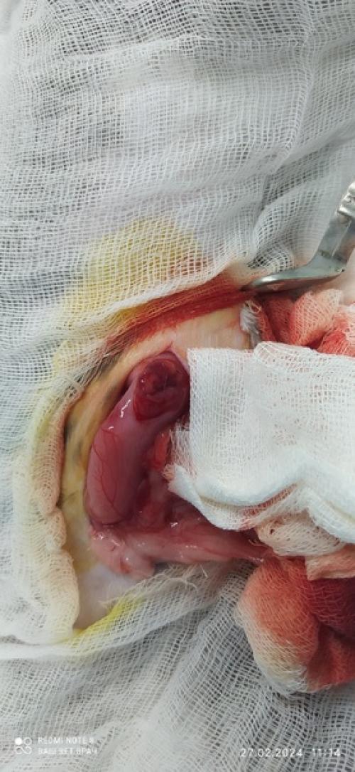 Давно не делала сложных операций! 03 Давно не делала сложных операций! 03