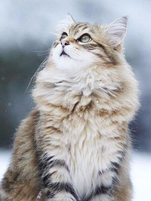 А может просто встать с другой ноги, и вместо кофе взять и выпить соку. 03