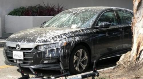 Думаете, у вас был плохой день? 06