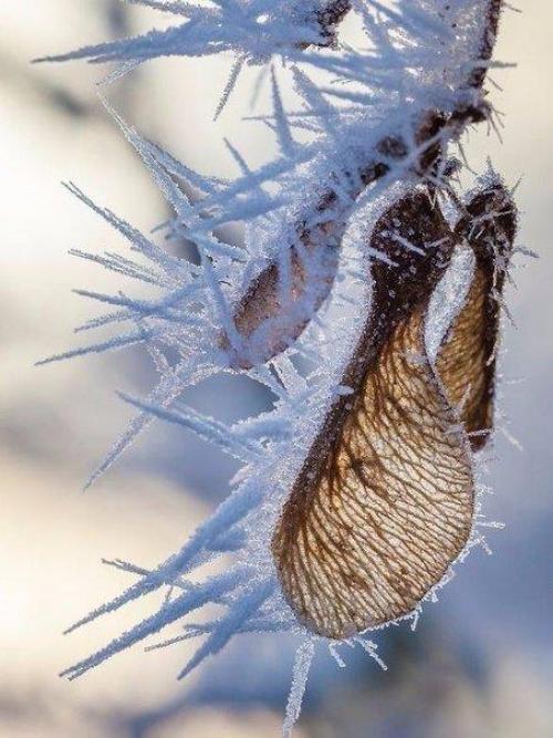 А может просто встать с другой ноги, и вместо кофе взять и выпить соку. 05