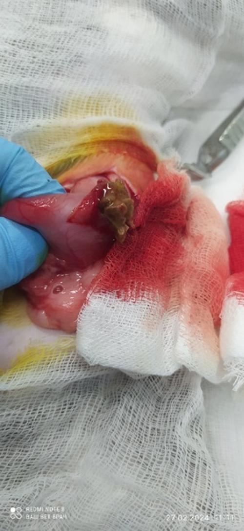 Давно не делала сложных операций! 02 Давно не делала сложных операций! 02