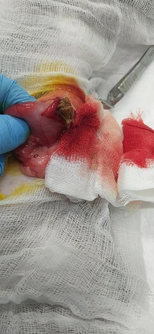 Давно не делала сложных операций! 01 Давно не делала сложных операций! 01