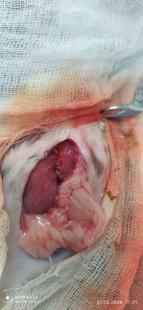 Давно не делала сложных операций! 04 Давно не делала сложных операций! 04