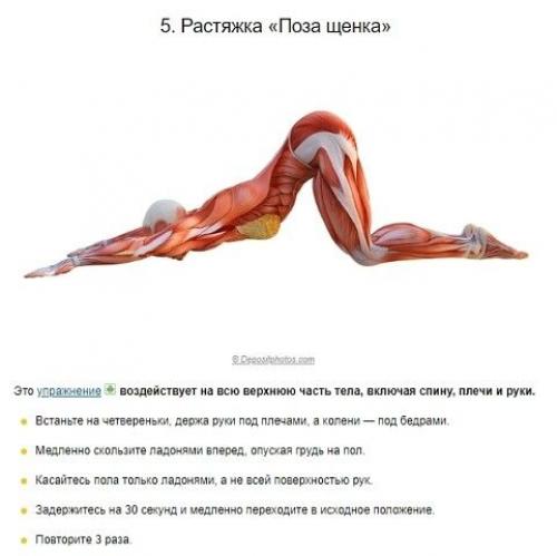 На заметку!  Упражнения, которые помогут вам максимально быстро растянуться. 04