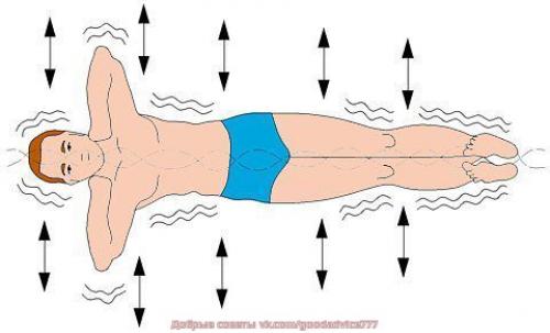 Золотые правила здоровья кацудзо ниши. 01
