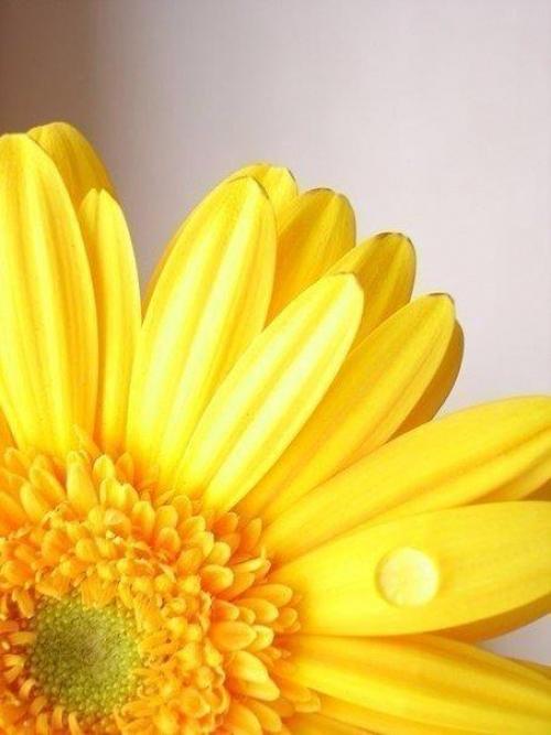 Доброе утро. Каждый день судьба сказку готовит. 04