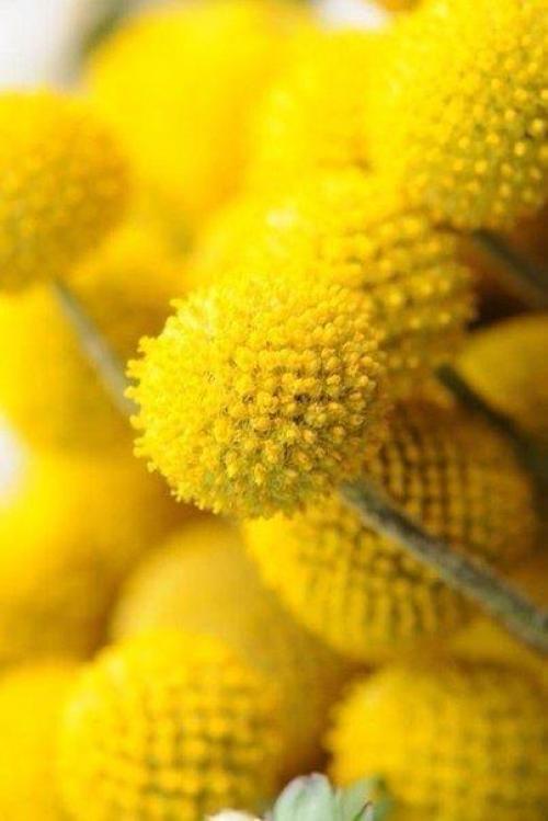 Доброе утро. Каждый день судьба сказку готовит. 02