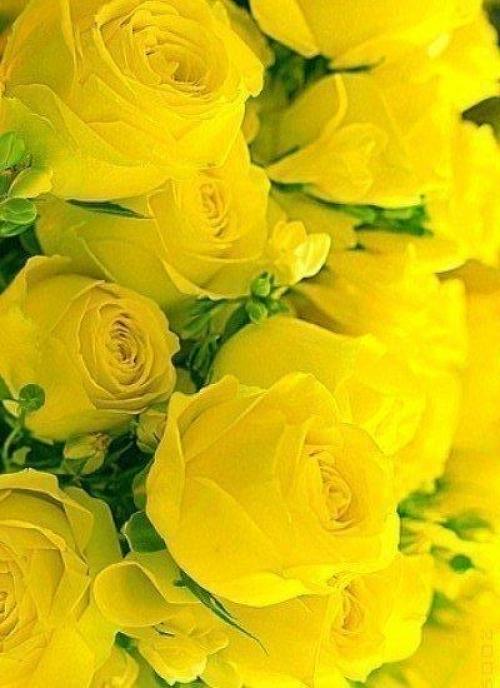 Доброе утро. Каждый день судьба сказку готовит. 01