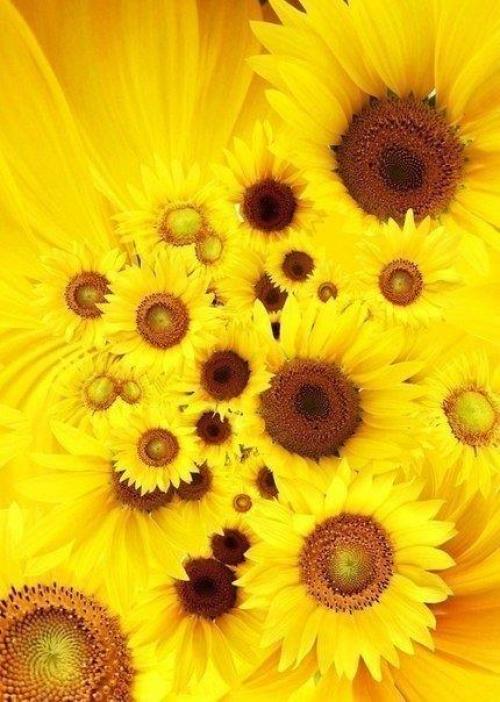 Доброе утро. Каждый день судьба сказку готовит. 05