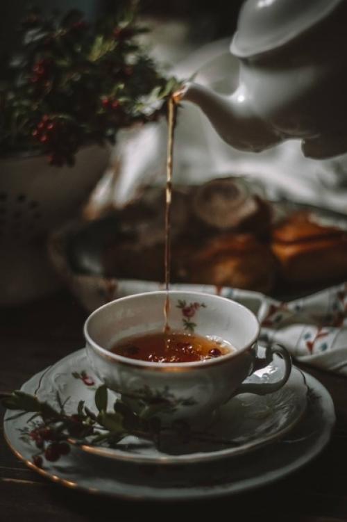 Брусничный лист для органов. 04 Брусничный лист для органов. 04