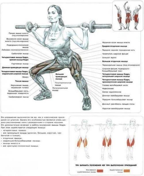 Самые эффективные упражнения на ягодицы, бедра и икры? 03