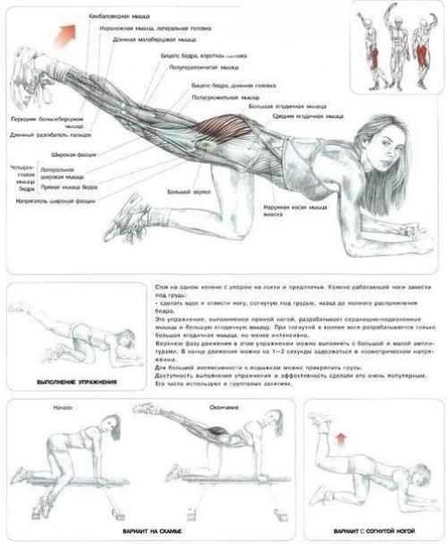 Самые эффективные упражнения на ягодицы, бедра и икры? 01