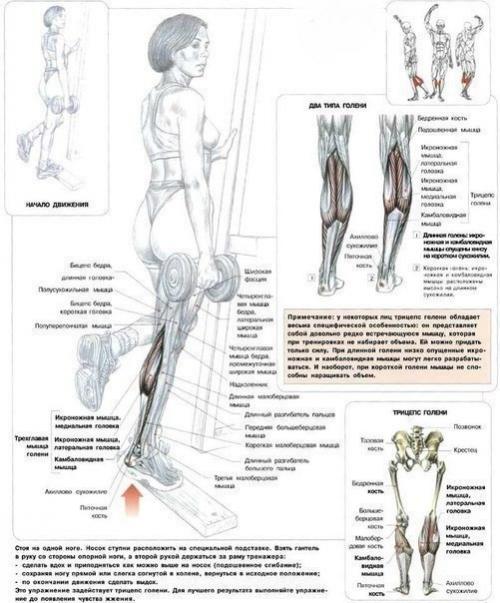 Самые эффективные упражнения на ягодицы, бедра и икры? 06