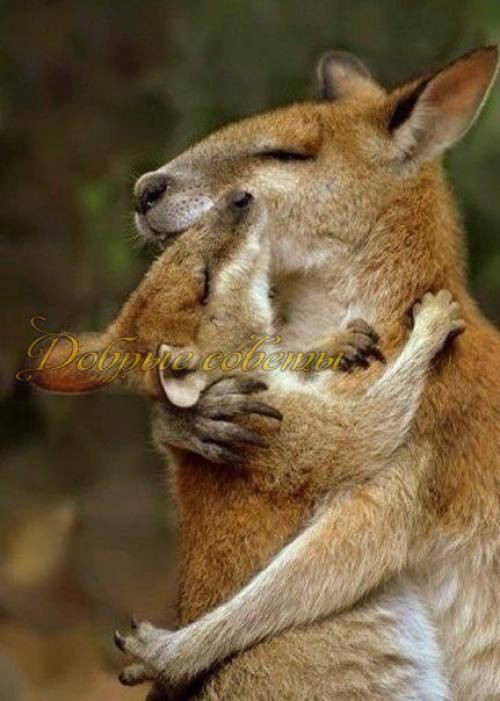 Слова, как ключи. 01