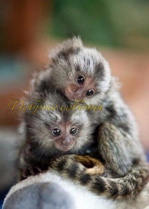 Слова, как ключи. 03