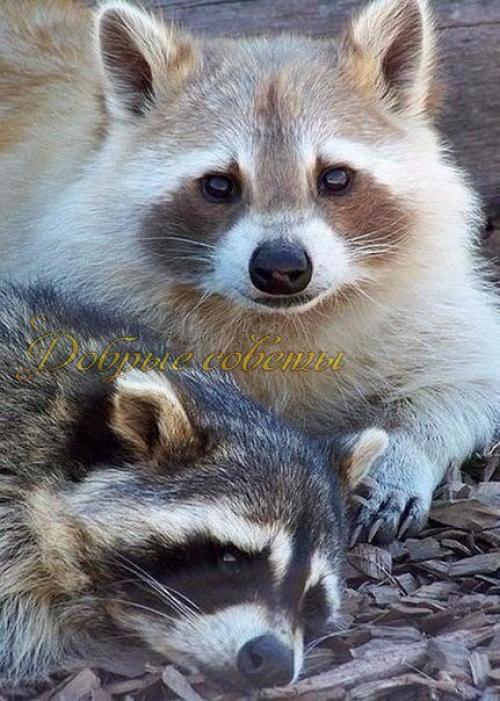 Слова, как ключи. 02