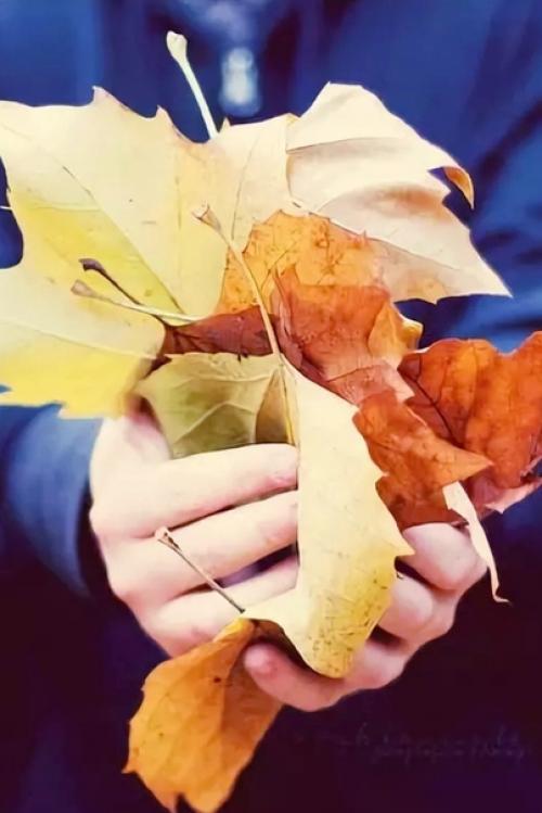 Никто не знает, как жить правильно. 03