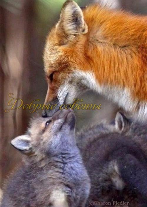 Слова, как ключи. 05