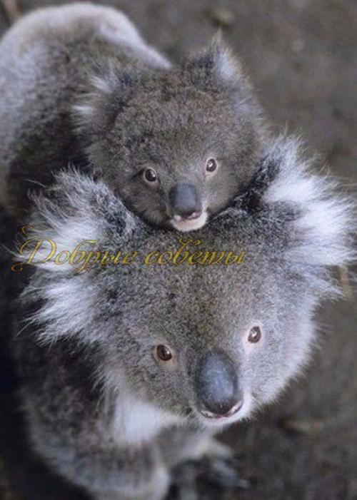 Слова, как ключи. 04