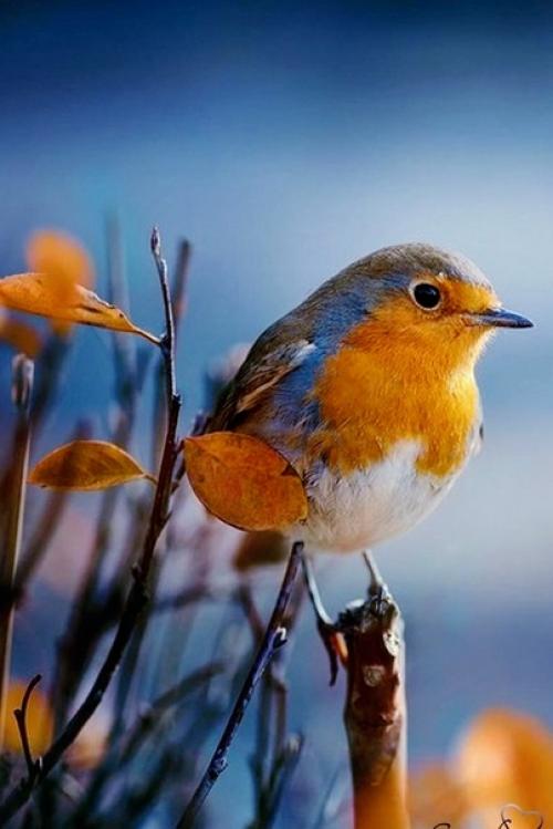 Никто не знает, как жить правильно. 04