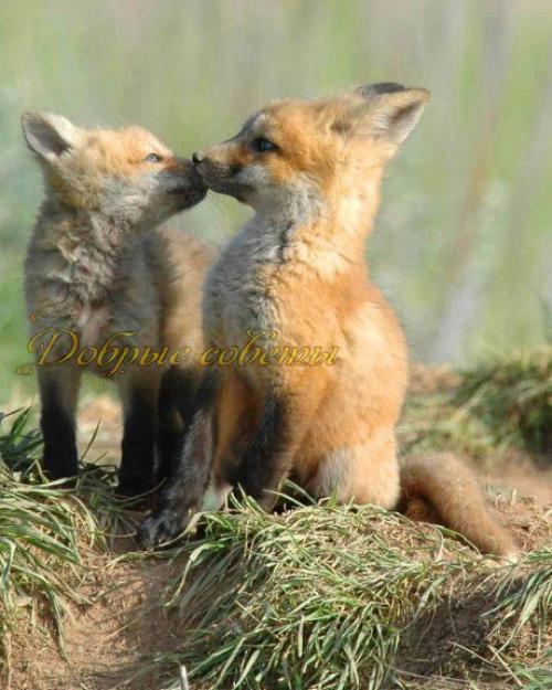 Слова, как ключи. 06