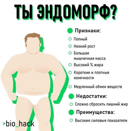 Рекомендации для похудения типу телосложения эндоморф. 01