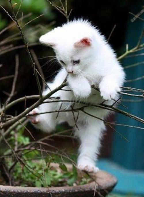 Не делай из своей книги жизни - жалобную! 01