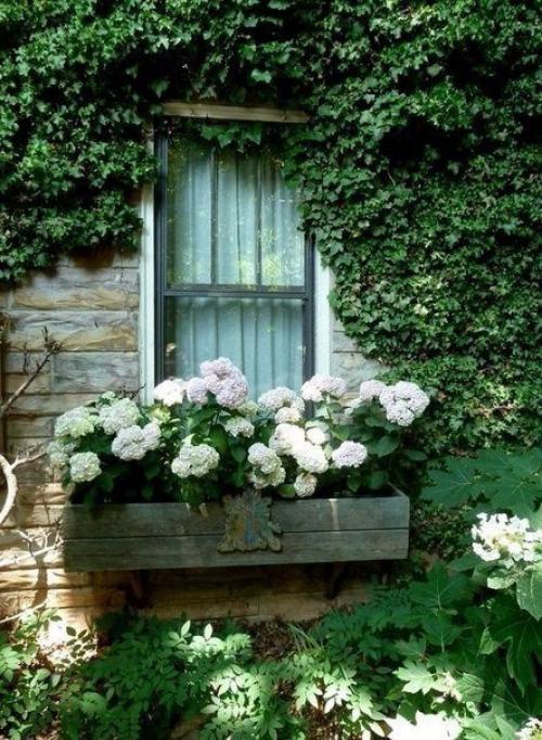 Не делай из своей книги жизни - жалобную! 02