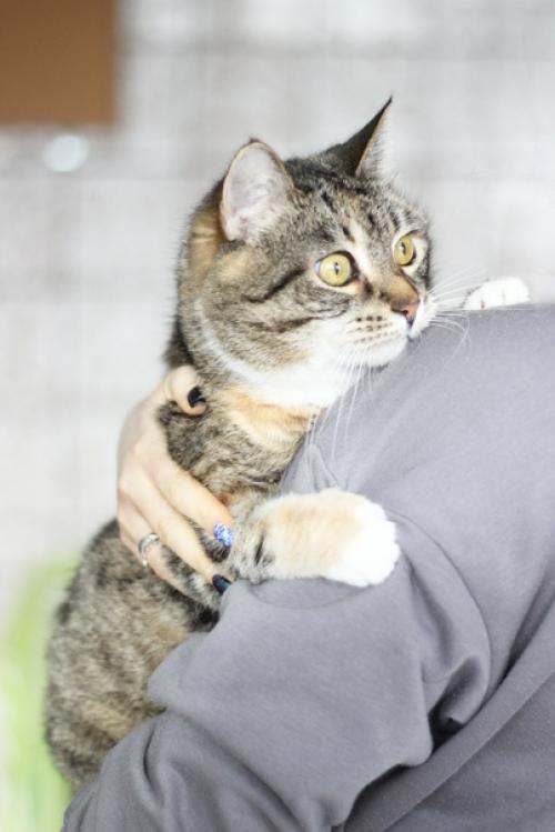 Ищете домашнюю принцессу? 01 Ищете домашнюю принцессу? 01