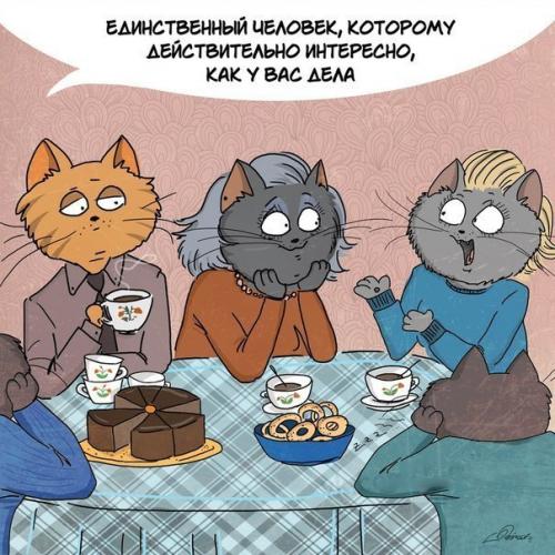 Самая главная женщина в жизни человека это мама? 05