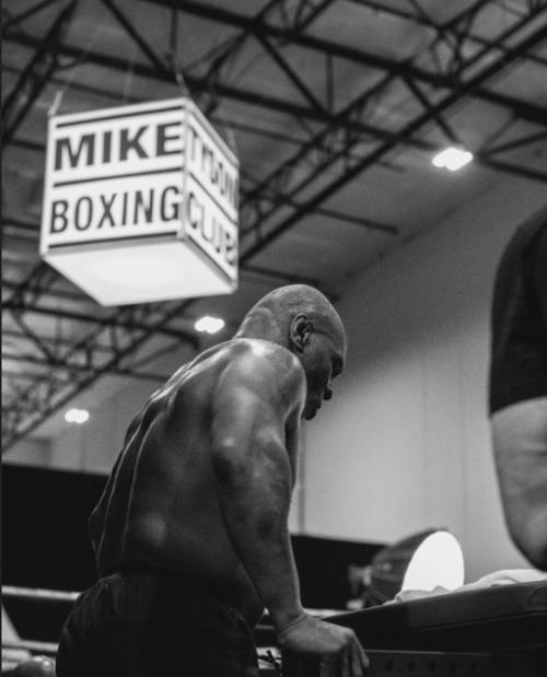 Трансформация майка Тайсона за 6 месяцев. 15. 04