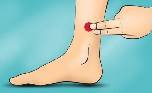 Настоящее украшение сада - пионы! 04