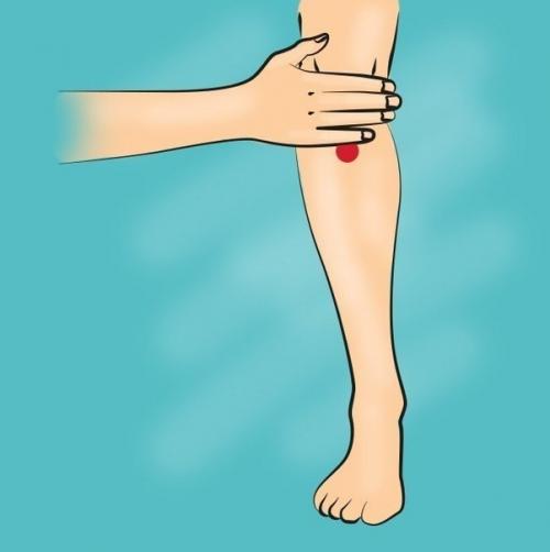 Настоящее украшение сада - пионы! 03