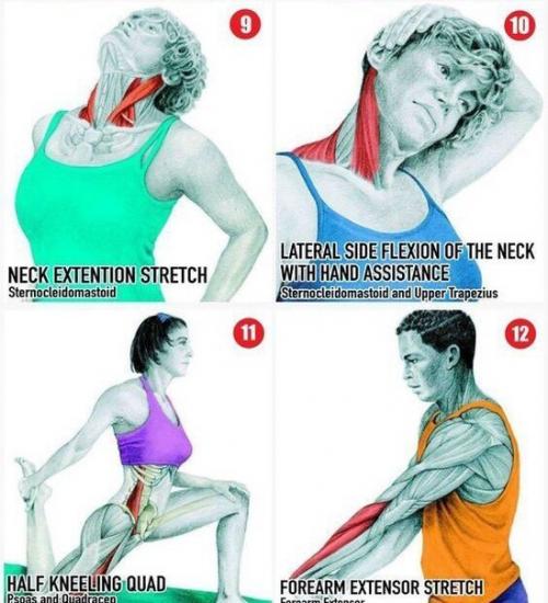 7 секретов приготовления вкуснейших котлет. 02